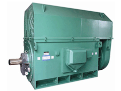 YRKK8003-4Y系列6KV高压电机