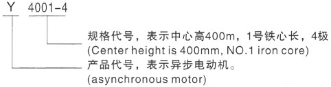 西安泰富西玛Y系列(H355-1000)高压YRKK8003-4三相异步电机型号说明