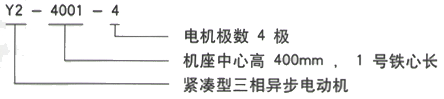 YR系列(H355-1000)高压YRKK8003-4三相异步电机西安西玛电机型号说明